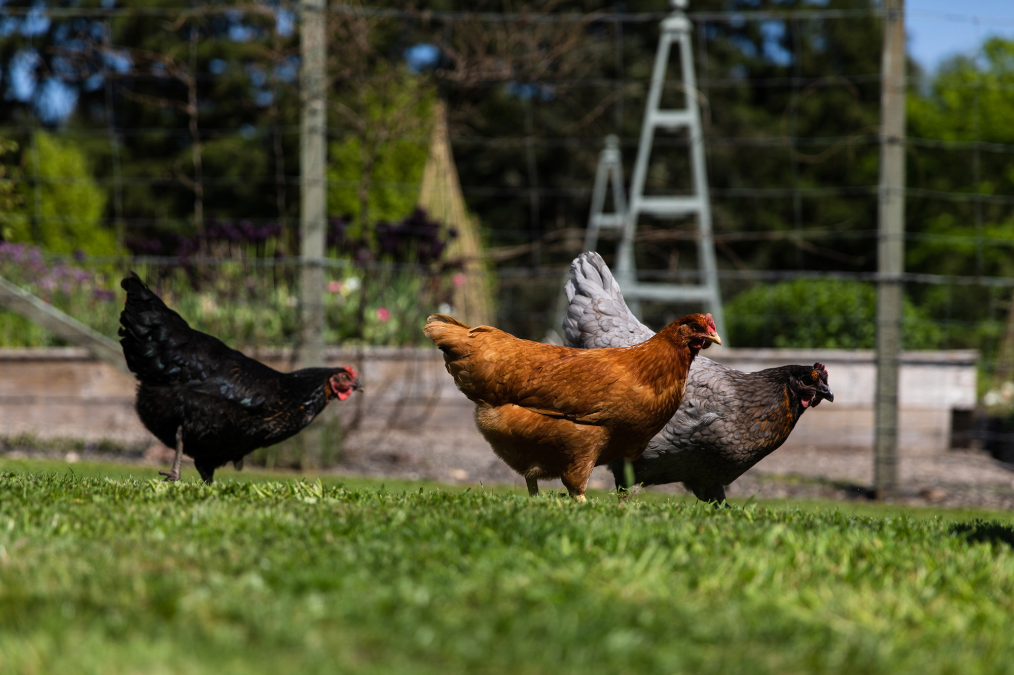 Cromlix2 Final Hires 140