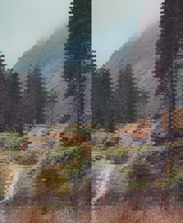 Walking In Scotland Anna Saveleva 9Qyycvmpi1q Unsplash