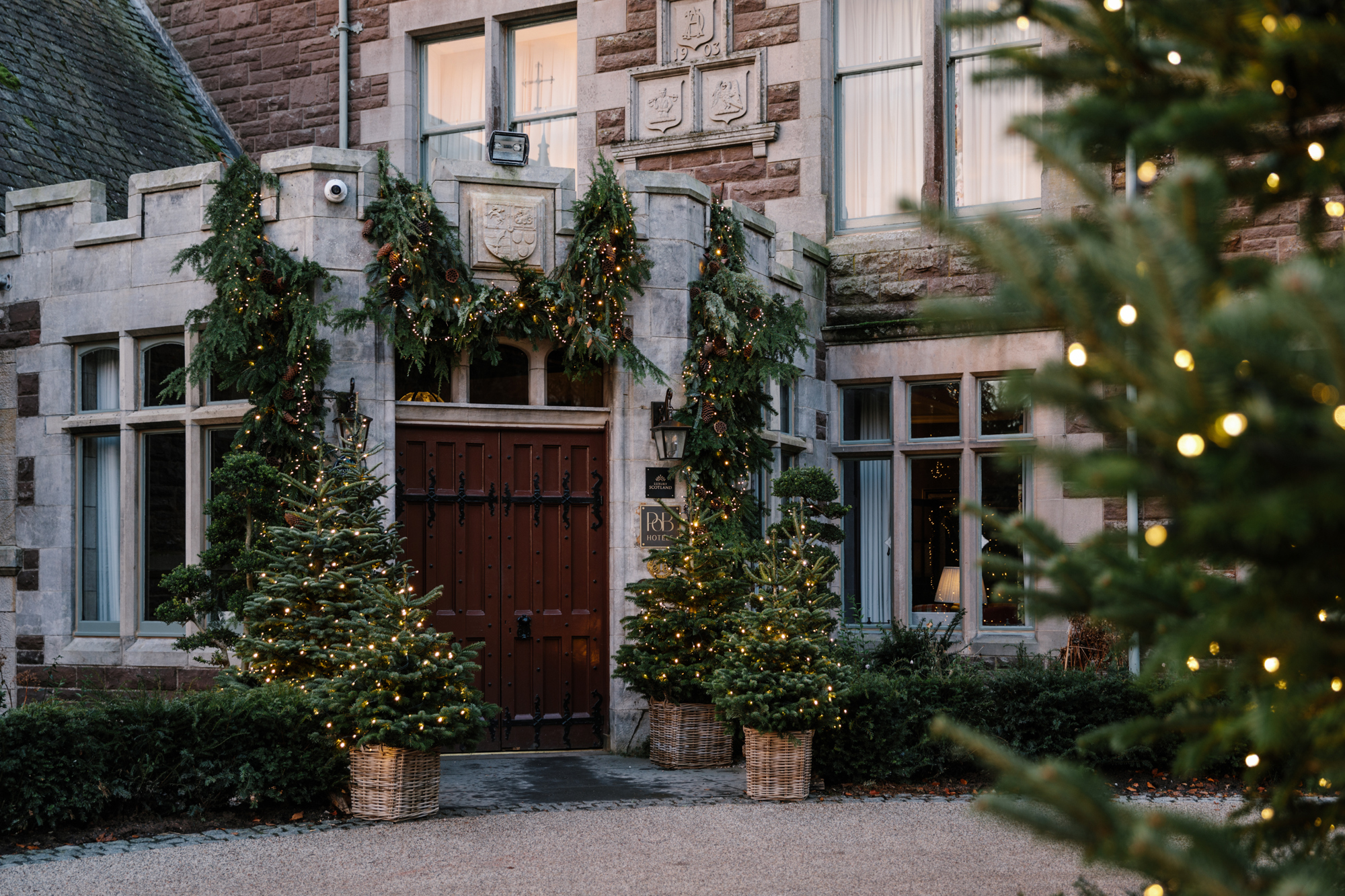 External with side of tree