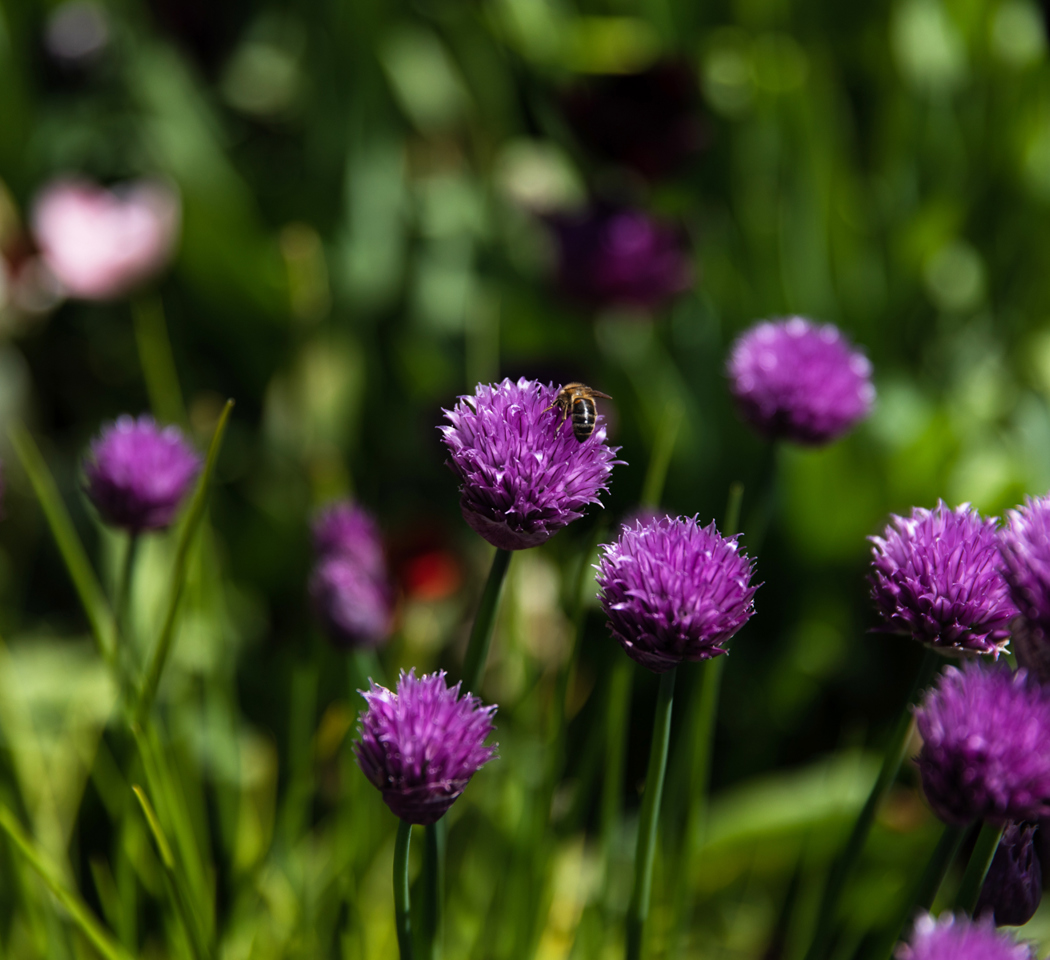 Cromlix2 Final Hires 137 (1)