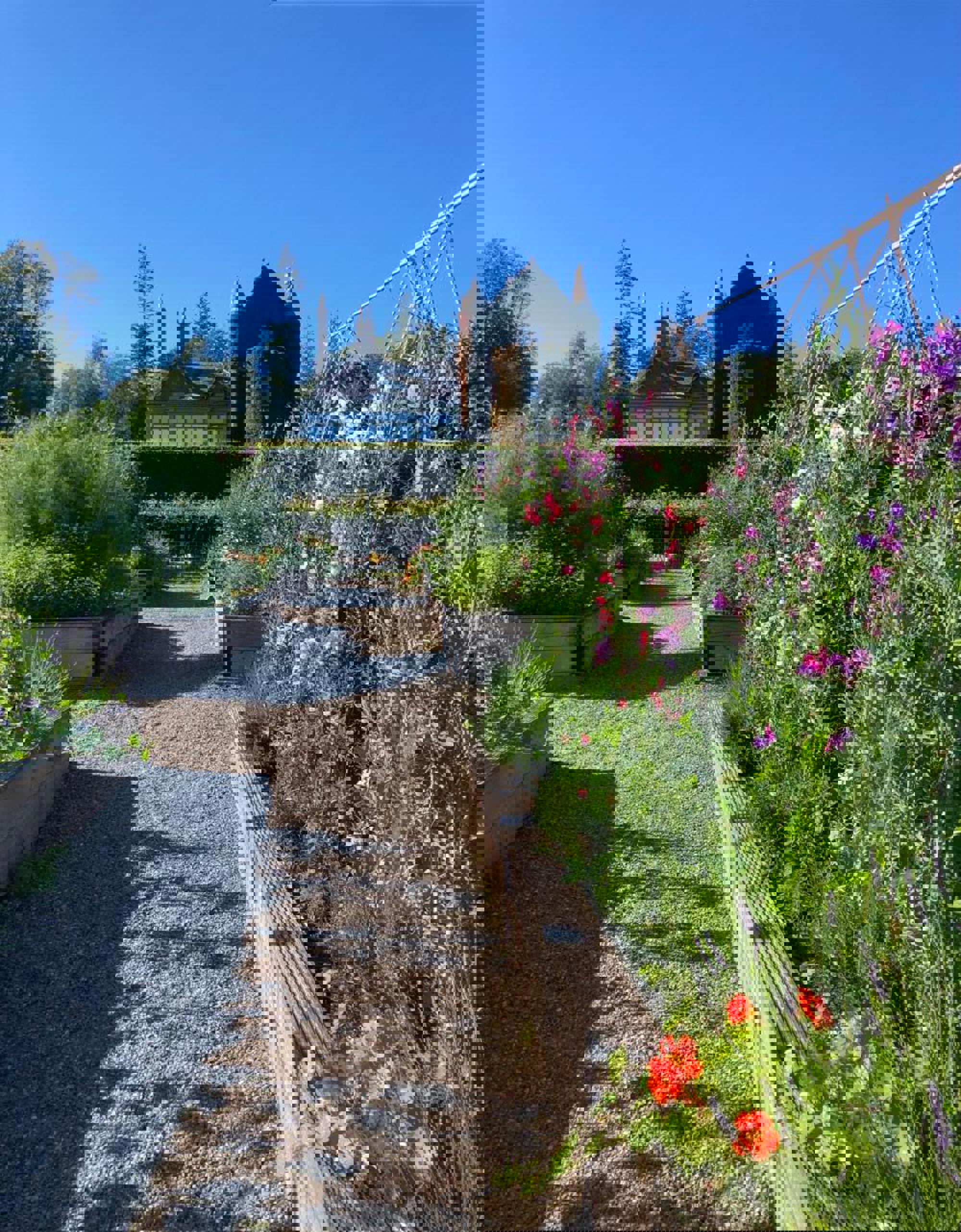 PHOTO 2022 07 21 23 17 28 Kitchen Garden